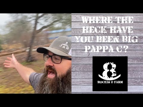 Rockin 8 Farm Update | Central Texas Homestead