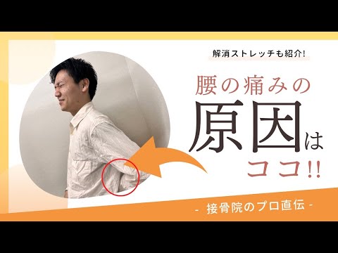 【腰痛〜腰を反らしたときの痛み〜】座っていて立ち上がろうとしたとき、体を反らしたときに痛みやシビレが走るときのストレッチ！｜,接骨院のプロが教えるお家セルフケア｜テラピスト接骨院