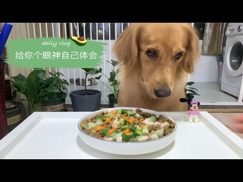 喝一碗狗粮，需要多久？