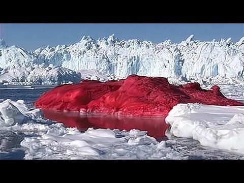 又一噩耗传来？南极发现“血雪”，专家∶担心的事还是要发生了【老山的情感生活】