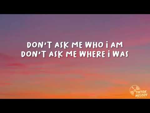 MGMT - Nothing To Declare (Lyrics)