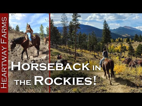 DREAM come TRUE! Horseback riding in Estes Park, Rocky Mountains!