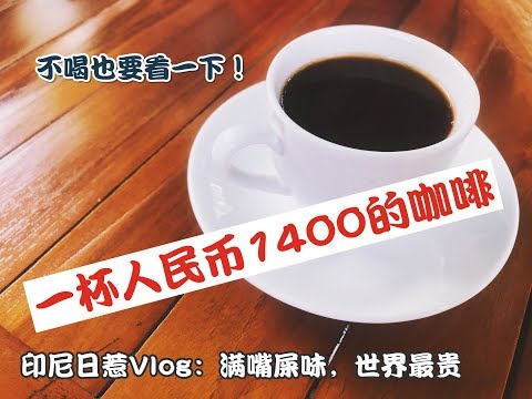 印尼日惹Vlog：满嘴屎味，世界最贵，一杯人民币1400的咖啡！猫屎咖啡Kopi Luwak|Borobudur婆罗浮屠寺庙|Mendut Candi梅都佛塔|卡里比鲁国家公园|旅游攻略