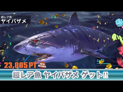 ヤクザ過ぎる顔の巨大超レア魚‼︎いくつも修羅場を乗り越えてそう‼︎釣りの達人