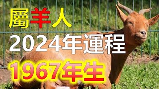 2024生肖運勢1967年屬羊人2024年運勢，1967年出生的屬羊人2024年家庭運勢非常順利，今年家庭有喜事，健康方面，雖然1967年屬羊人今年身體狀況總體良好，要注意飲食健康，十二生肖（生肖羊）