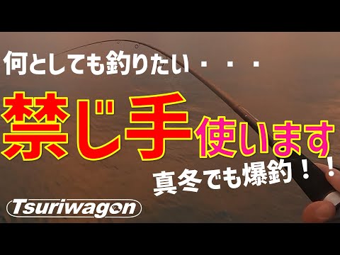 カマス狩りに行くぞい【１月 和歌山】