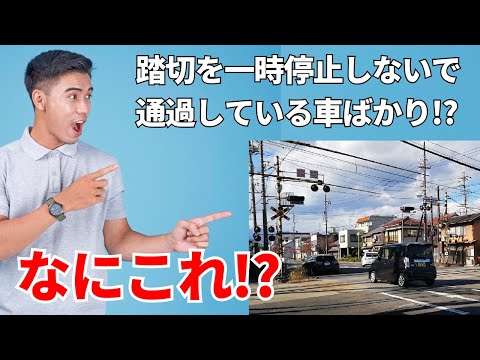 どの車も一時停止しない踏切の謎/なにこれ？珍道路