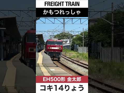 【ジョイント音】JR鹿児島本線を走る貨物列車【電車が大好きな子供向け】Japanese Trains for Kids - Freight Train