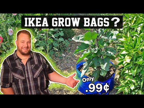 Do IKEA Frakta Bags Make Good Garden Grow Bags / Raised Garden Beds? Gardening With Plant Abundance