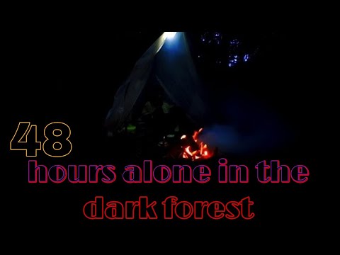 Two nights solitary camp in the forest.#camp #bushcraft #overnight #adventure #jungle #outdoor