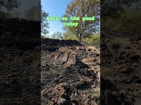 Pond clean out #shortsvideo #farming #ponds