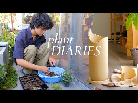 Plant Diaries | fixing a broken pot, propagating, a weekend home 🏡