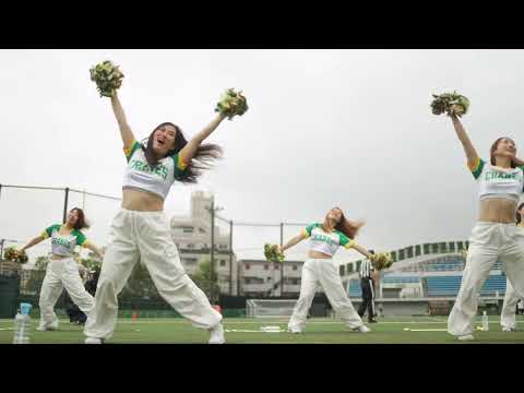 2024/06 AFC Cranes Cheerleaders