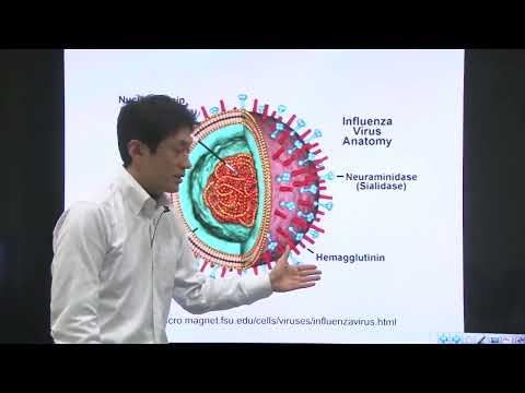 Unit 12 Part 1   Cancer and Viruses