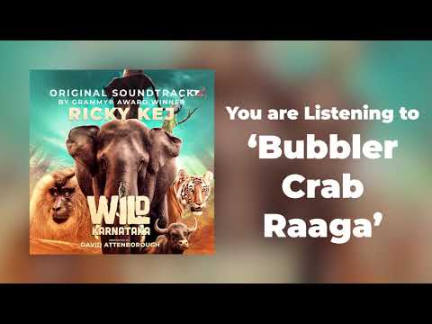 07 Wild Karnataka - Bubbler Crab Raaga - Original Soundtrack by Ricky Kej