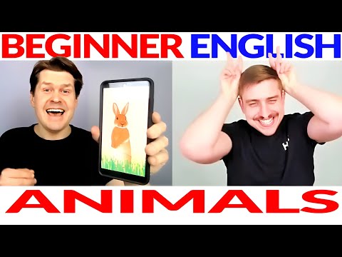 Easy Beginner English Listening Course Lesson: Animals (Part 1) 🐇🐄🐘🐅🐍🦜🐝 English Comprehensible Input