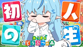 【あつまれ どうぶつの森】#19 BGM代わりにどうぞ。どう森雑談【 雪花ラミィ /ホロライブ】