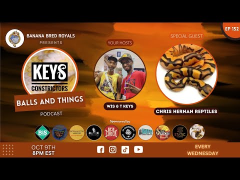 Balls and Things - Ep 152 - Chris Hernan Reptiles  #BallPythons #reptiles