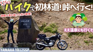 落石だらけで前途多難!?バイクで林道を抜けて峠へ!【おにゅう峠】