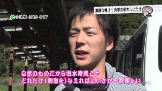 食べものがたり　第39回　「原木しいたけ」