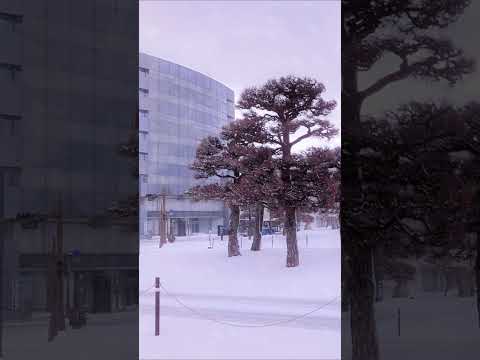 松江の雪景色は美しいです