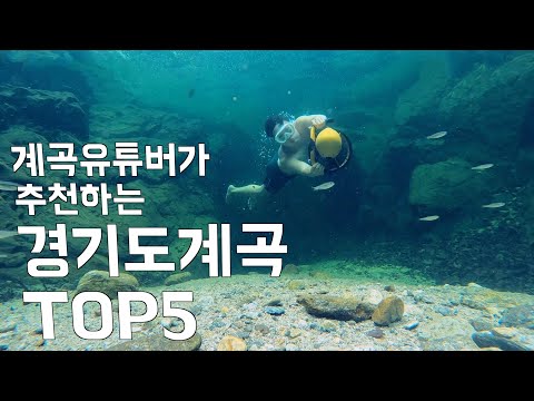 (2023년 최신판) 계곡유튜버가 추천하는 경기도계곡 TOP5