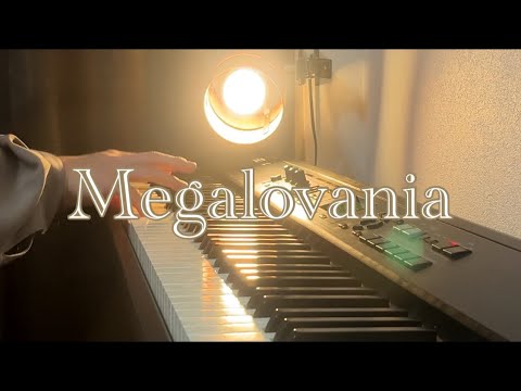 【UNDERTALE】Megalovania を弾いてみた