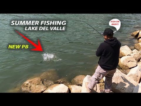 Another PB at Lake Del Valle‼️Catch & Cook #bigfish #fishing #fun #fish #catchandcook #new #video