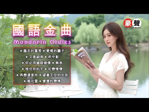 【國語金曲】臨走的誓言｜愛情的騙子｜又是細雨｜杯中影｜何必用錢談感情｜無奈｜挽住你的手｜初戀情懷｜再戀還是你｜望著天空的女孩｜梅花雪 Mandarin Oldies 70's (歌詞版)