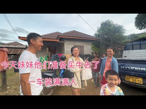 在老挝八九个人可以这样坐车今天回来的江西妹妹准备买牛牛了