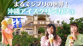 【沖縄絶景カフェ】県民おすすめ！沖縄限定のローカルアイス屋さん教えちゃいます