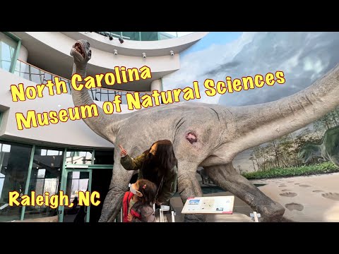 NC Museum of Natural Sciences, Raleigh NC