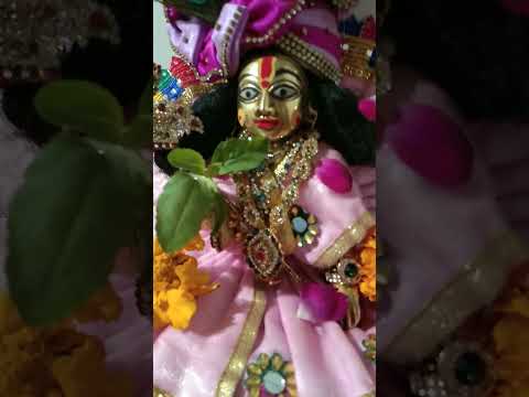 he syam syama sab par kripa karna#harekrishna #radheradhe #youtube #love #shortsvideo