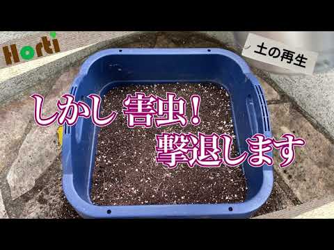 かんたん！プランター培養土の再生方法