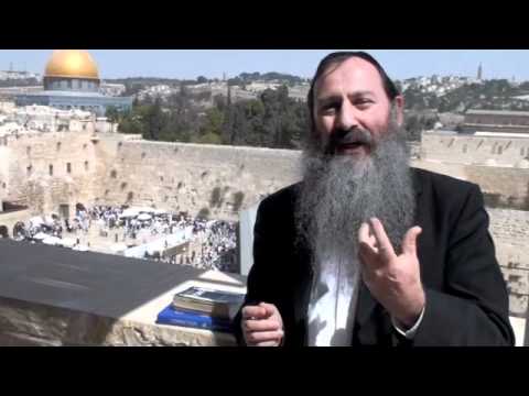 Inside the Garden of Eden  - Rabbi Svirsky on Parsha Bereishis