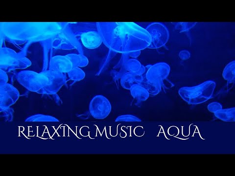 Dive into Super Relaxing Underwater Aquarium Music | Rebalance Your Body, Mind, and Soul in Minutes!