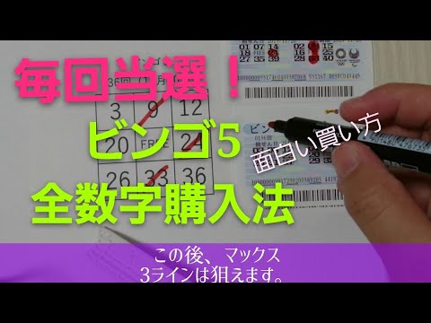 【ビンゴ5全数字購入法】毎回当たる！面白い買い方