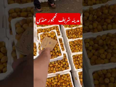 Madinah Date Market #usmantahirjappa #vlog #umrahtour #hajj #travel #livestream #umaisavlogs