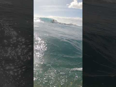 Backside stall #surfing #hawaii #surfer #stall #backside #islandlife