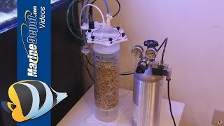 Calcium Reactors, Part 2: How To Use a Calcium Reactor