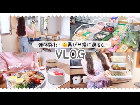 【vlog】連休後のスーパーまとめ買い🛒⡱┊購入品と作り置き┊おすすめ金沢お土産紹介etc...【アラサーOL】