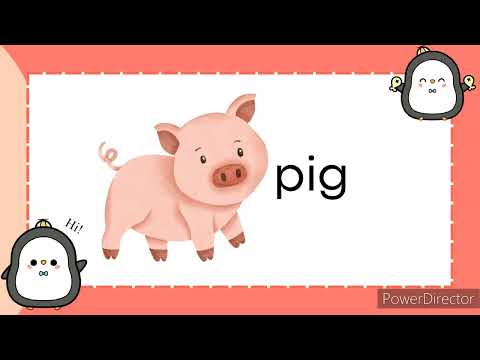 Letter Pp | Letter Sounds | Alphabet | Phonics | Read and Learn Words that Start with Pp