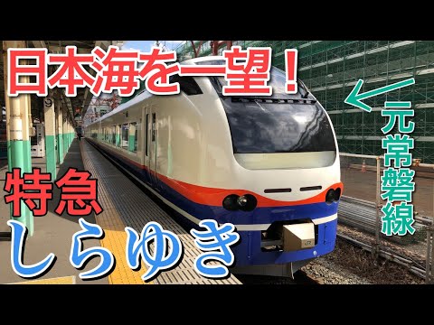 【日本海を一望】新潟を駆け抜ける特急「しらゆき」に乗ってみた（直江津→新潟）