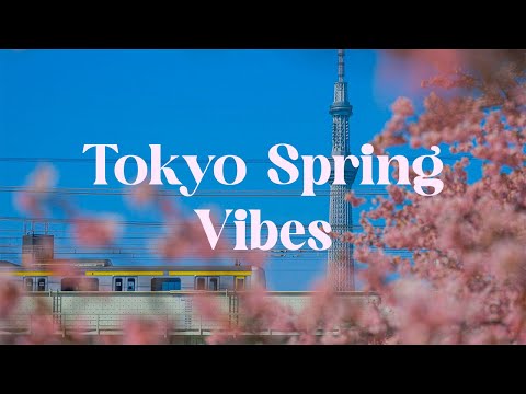 Tokyo Spring Vibes 🌸 Japanese Lofi Mix for Relaxation and Focus