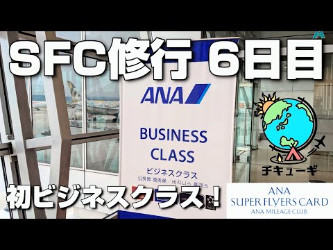 【SFC修行】全8日間でプラチナ会員へ！6日目『はじめてのビジネスクラス』