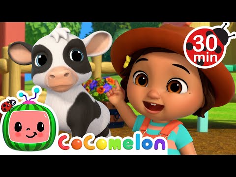 Nina's Baby Cow! Farm Animal Fun 🐄 | CoComelon Nursery Rhymes and Kids Songs | Animals for Kids