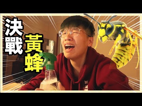 危險黃蜂闖入家中 與猛獸決一死戰!!!｜肥姨姨 Myfataunt