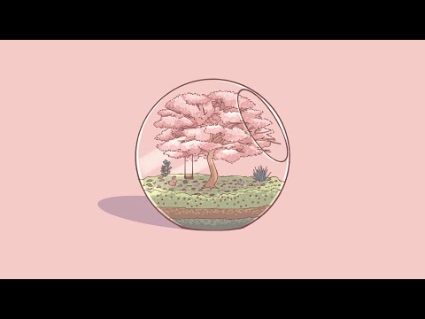 [free BGM] cherry blossoms 🌸 | lofi hip hop