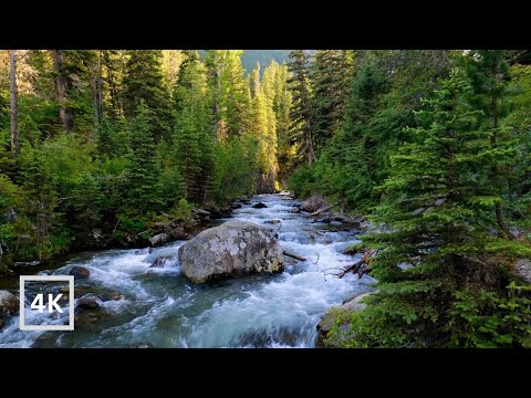 4K Big Timber Creek Sunset Ambience | Crazy Mountains | Forest River Nature Sounds for Sleeping