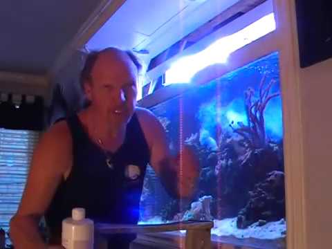 Surge Reef Aquarium, LA Fishguys, Episode Five, Part 2